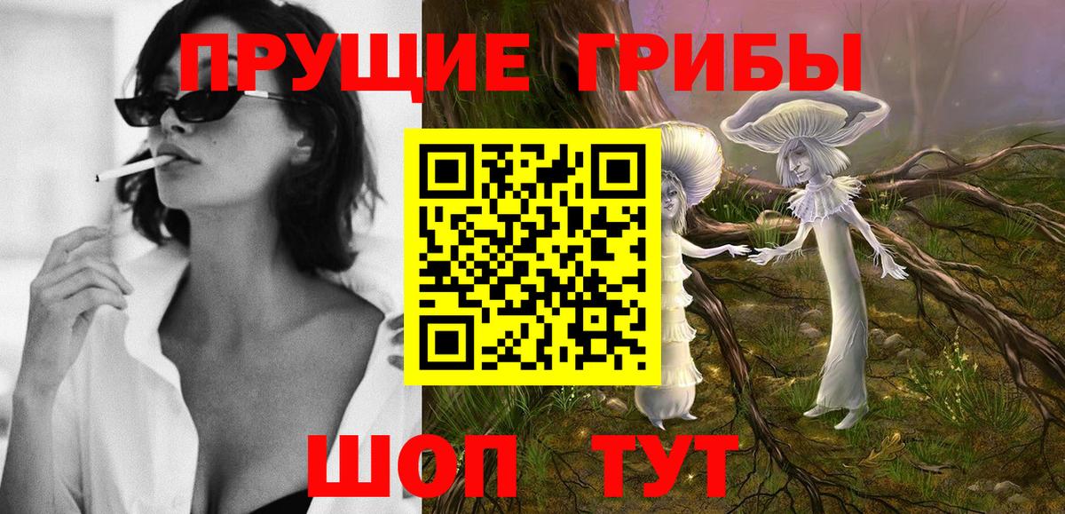 Железноводск  Галлюциногенные грибы Cubensis  продажа наркотиков  Вход с VPN 