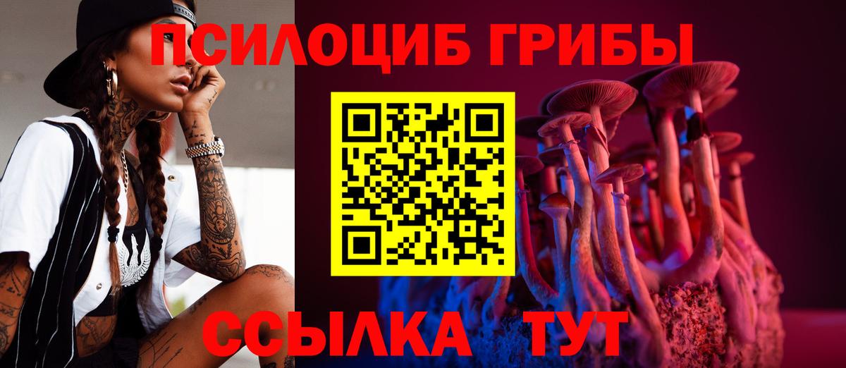 Псилоцибиновые грибы Psilocybe Железноводск